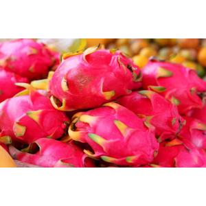 Dragon fruit