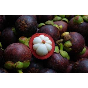 fresh mangosteen