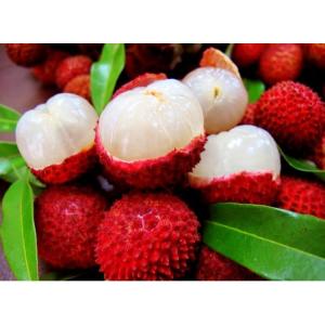 lychee