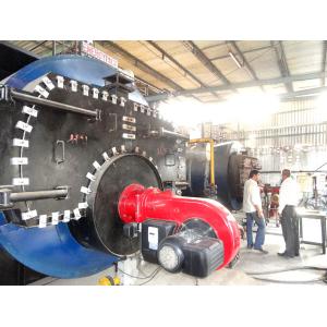 wood/briquette fired steam boiler