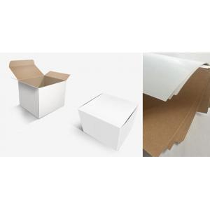 Paper Packaging Box