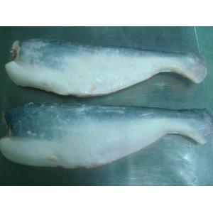 Pangasius HGT