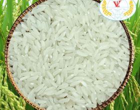 Viet Nam White Rice OM 504