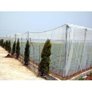 Plastic Agriculture Shading/Scaffolding Netting