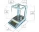 0.1mg magentic analytical scale