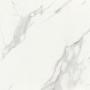 CARRARA White Marble Tile