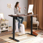 Dual Motor Standing Desk      