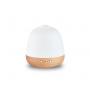 Ceramic Aroma Diffuser