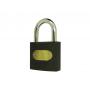 Gray iron padlock