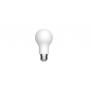 Filament LED Bulb