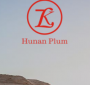 Hunan WPX Communication Technology Co., Ltd