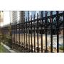 Wrought Iron Palisade Fence