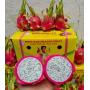 White Flesh Dragon Fruit