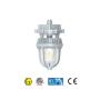 Hazardous Location Led Stroble/Signal Light EX02 Series 50W