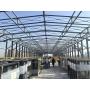 Steel Structural Frame/Building/Embedded Parts