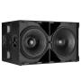 Dual 21 inch Subwoofer