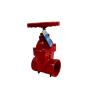 Grooved soft seal gate valve OVERVIEW