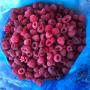 frozen raspberry 