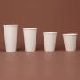Paper Cups in Disposable