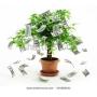 Business and Project Loans/Financing Available
