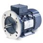 Leeson DC TEFC High Efficiency Motor