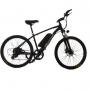 China Popular 2021 Electric Mountain Bike 