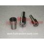 delphi denso zexel bosch diesel nozzle