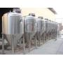  Fermenter tank