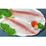 frozen pangasius fillet semi trimmed