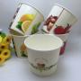 Logo Printed Paper Ice Cream Cup with Paer Lid