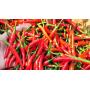 fresh/ dried/ frozen chilli