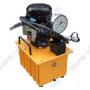 ZCB-700A Electric Pump